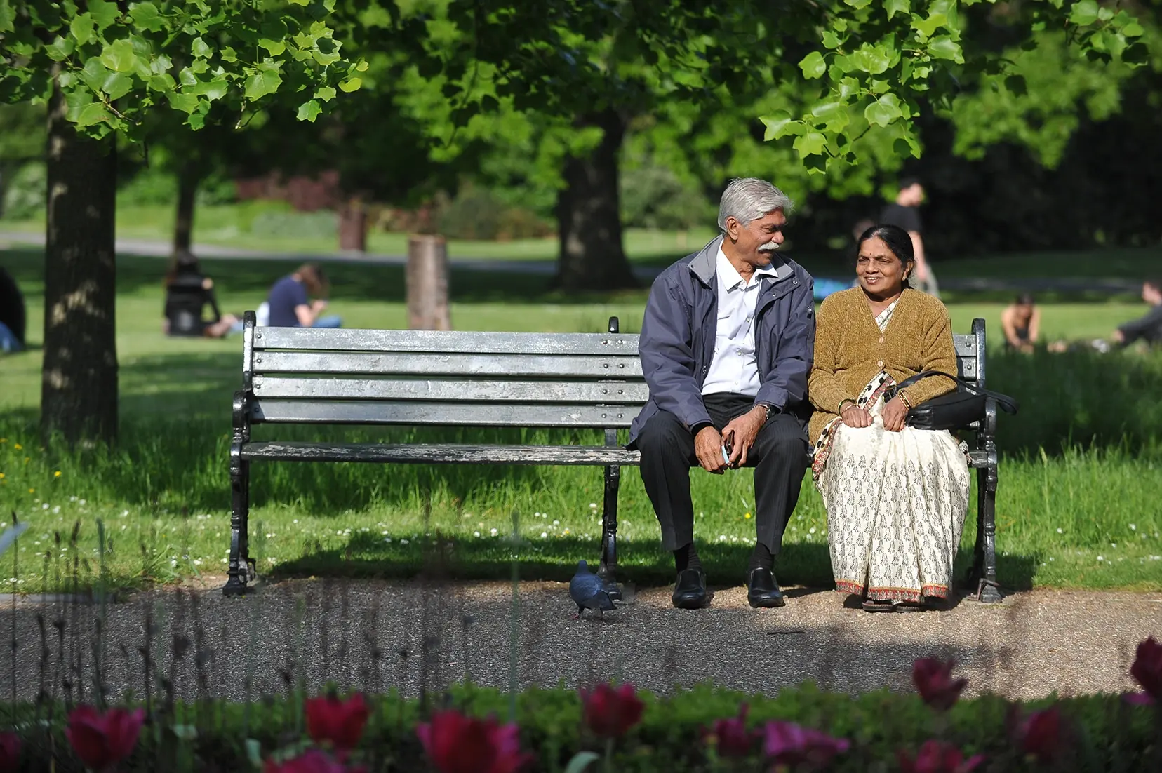 A couple sitting on a park bench, smiling at each other, with trees and people relaxing on the grass in the background on a sunny day.
